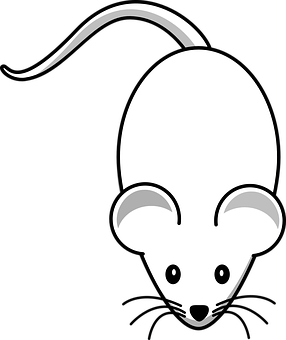 Affordable-Rodent-Control--Affordable-Rodent-Control-5065431-image