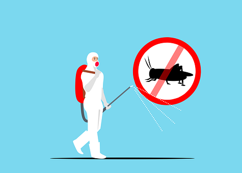 Exterminators--Exterminators-5072208-image