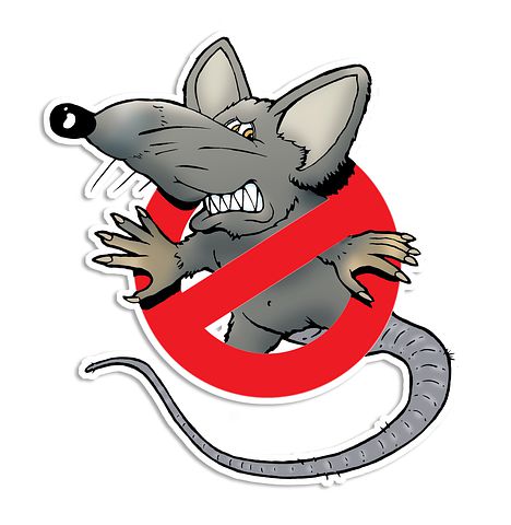 Rodent-Control--Rodent-Control-5079738-image